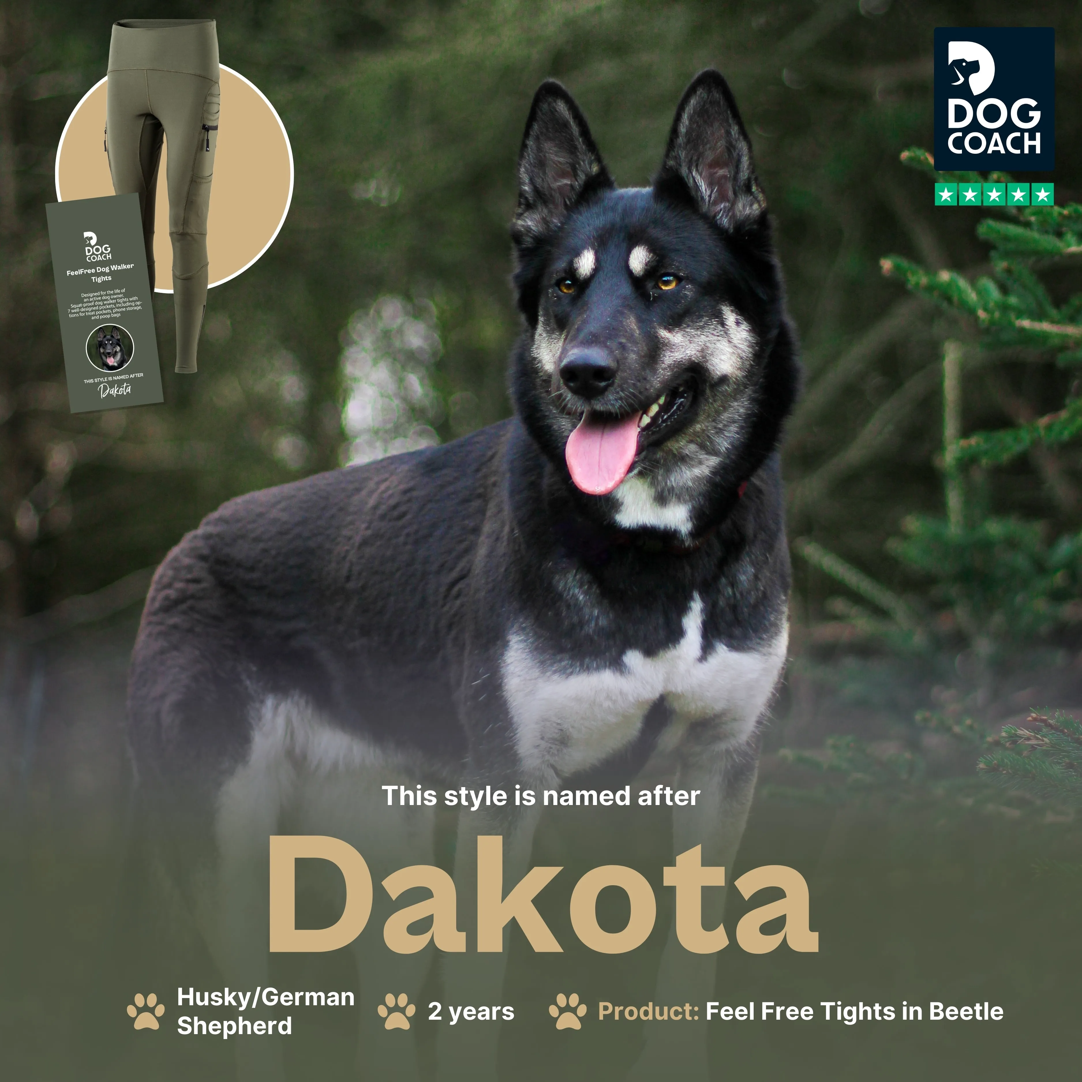 FeelFree Dog Walker Tights | Beetle | Dakota