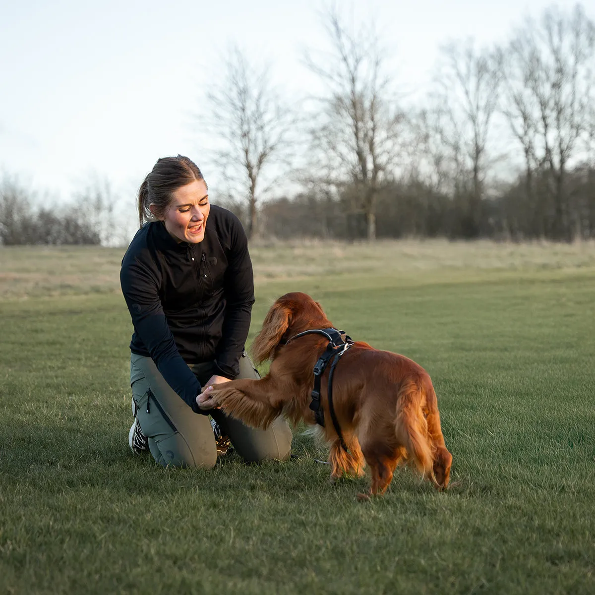 FeelFree Dog Walker Tights | Beetle | Dakota