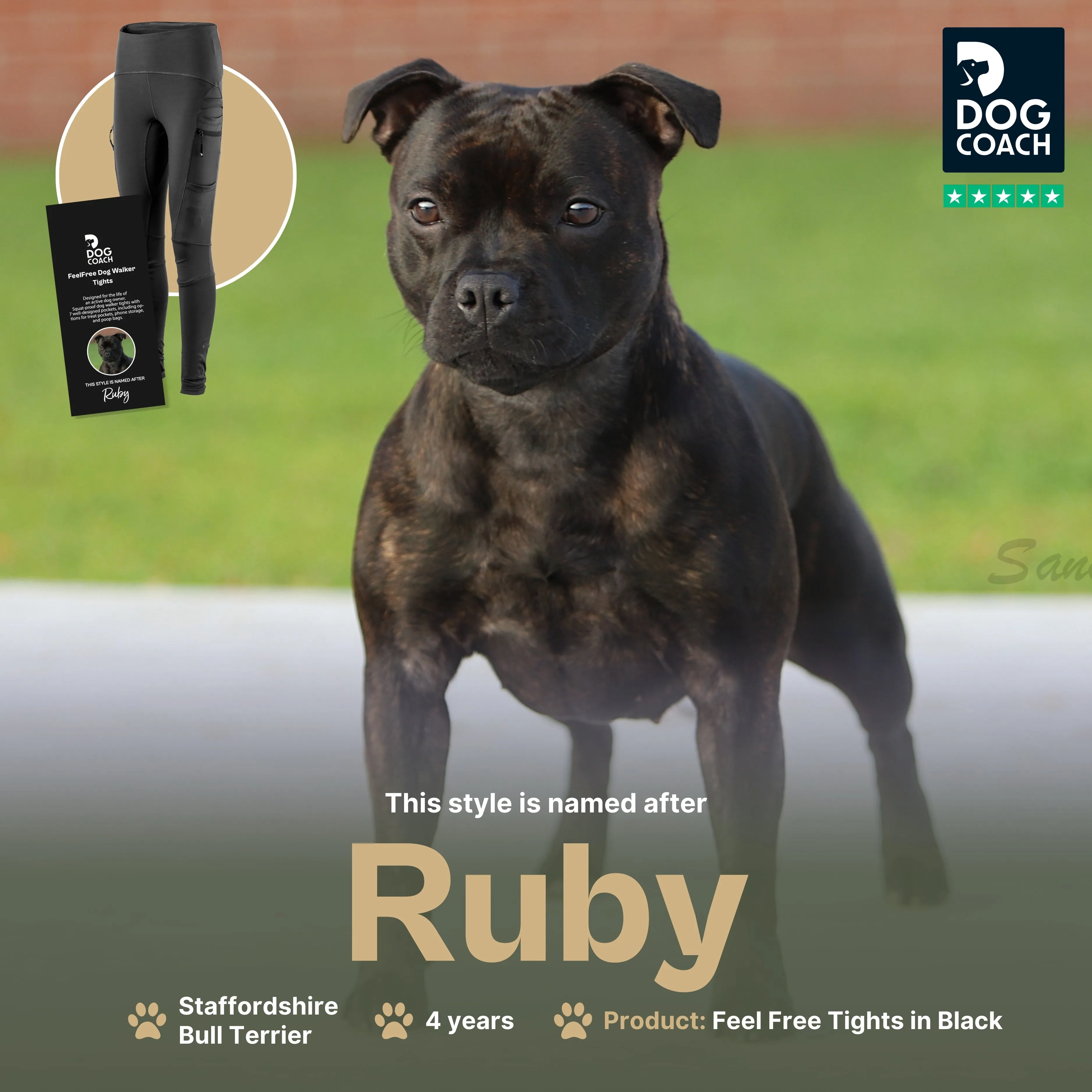FeelFree Dog Walker Tights | Black | Ruby