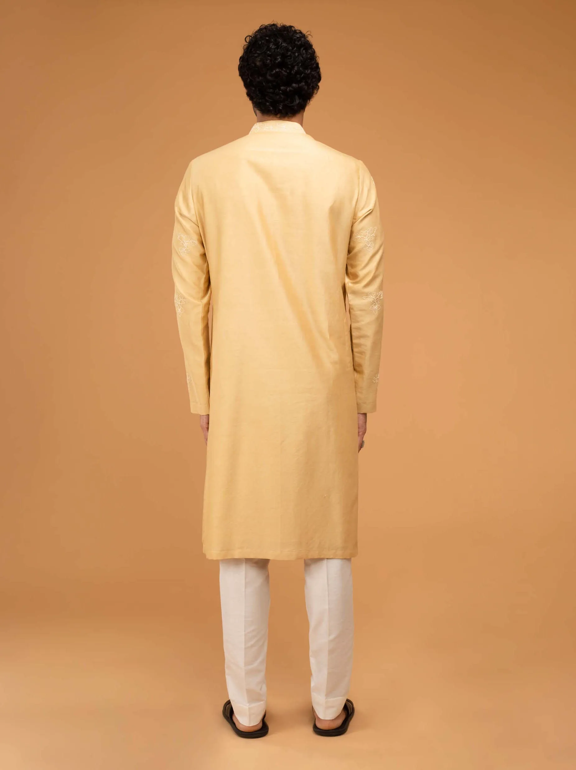 Gold beige kurta and pants