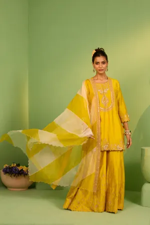 Sophia Chanderi Silk Sharara Set
